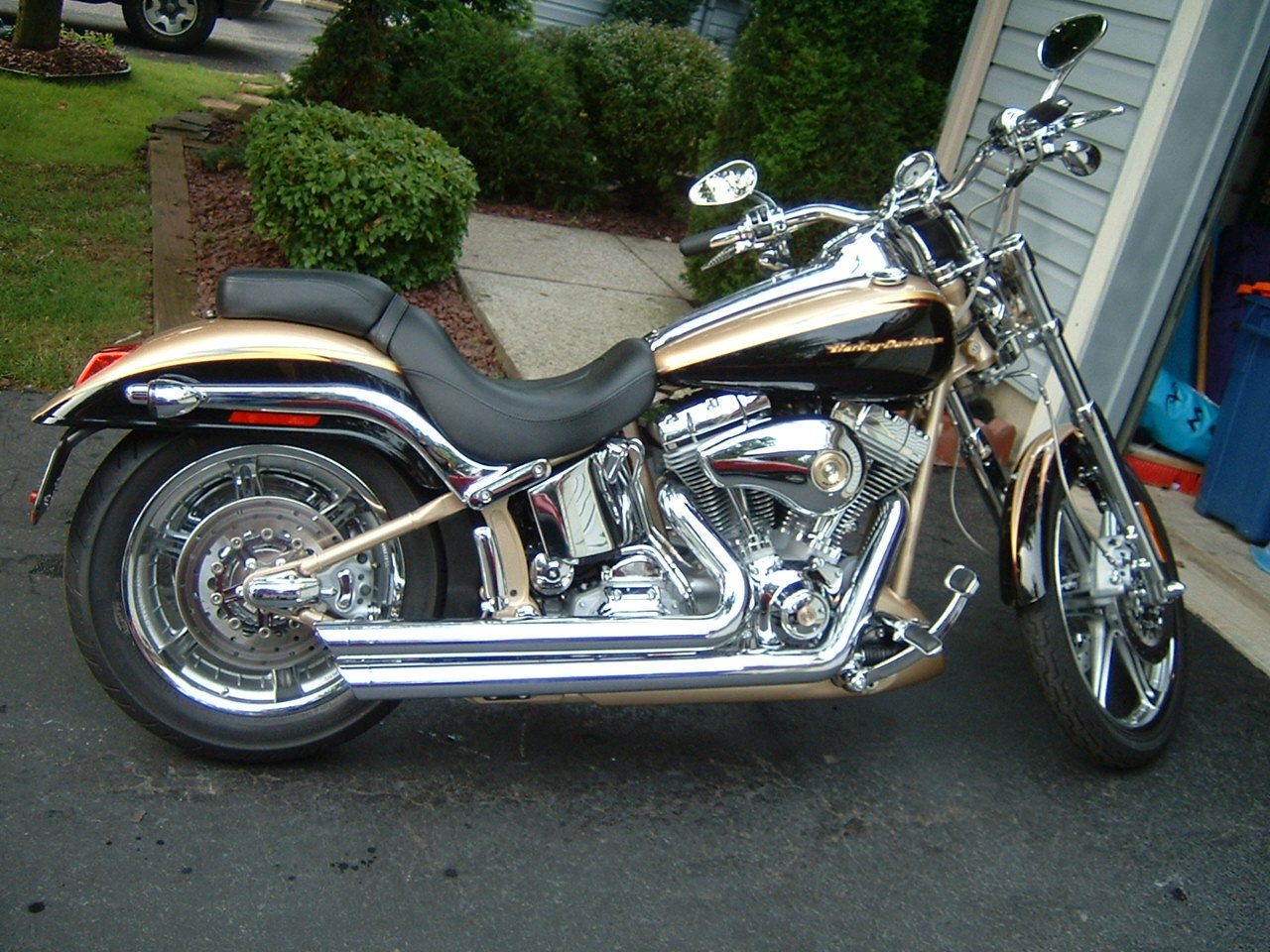 אופנוע Harley-Davidson בצבע זהב-שחור, צילום צד, עם מנוע כרום ומסגרת מבריקה, חוץ על אספלט מול בית עם שיחים