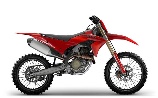 תצלום דגם - Ducati desmo 250 mx