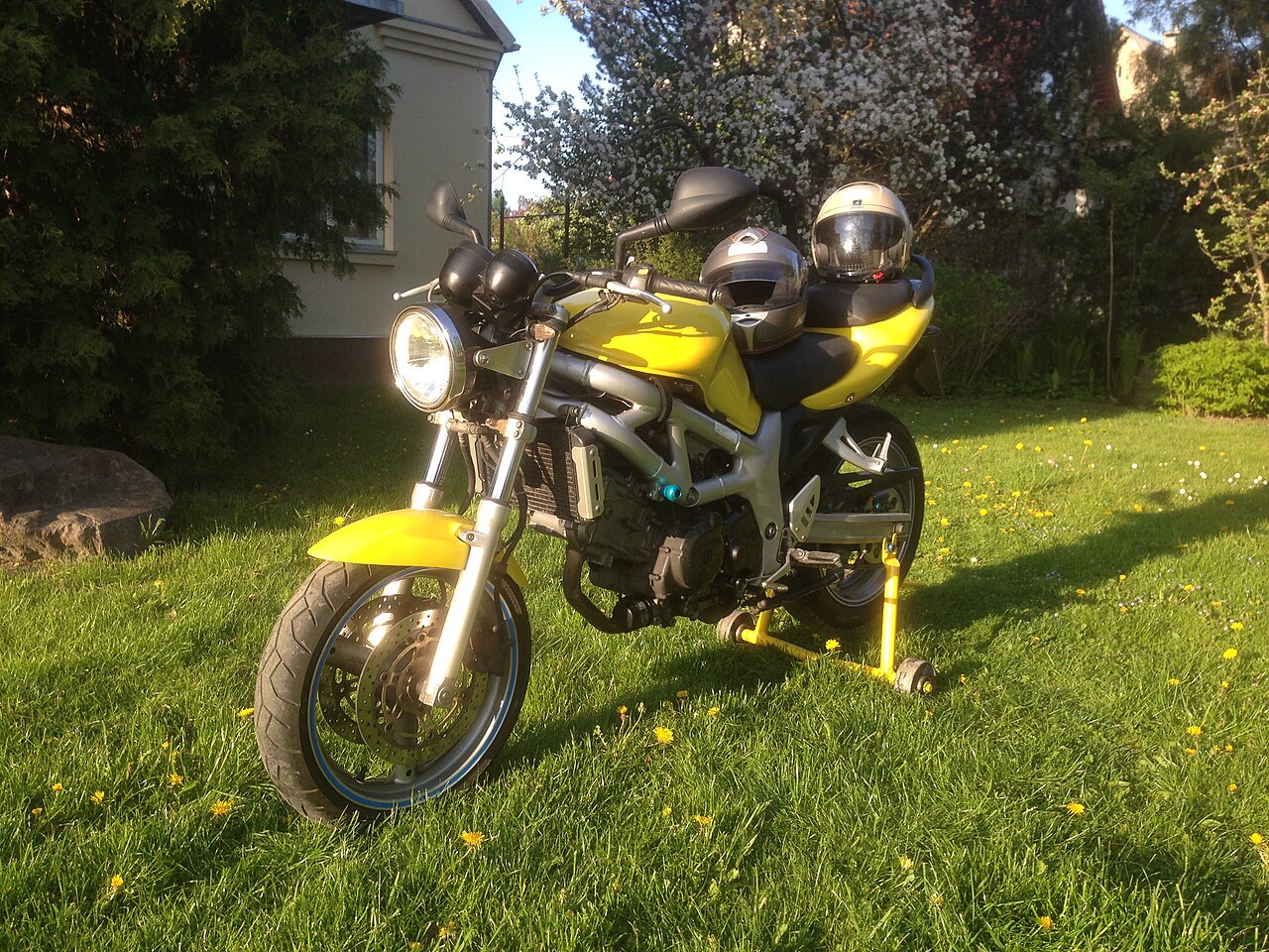 אופנוע צהוב דגם Ducati Monster מונח על דשא ירוק עם שני קסדות על המושב, ברקע עצי פריחה ומבנה לבן