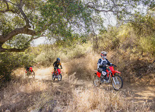 תצלום דגם - Honda CRF125F