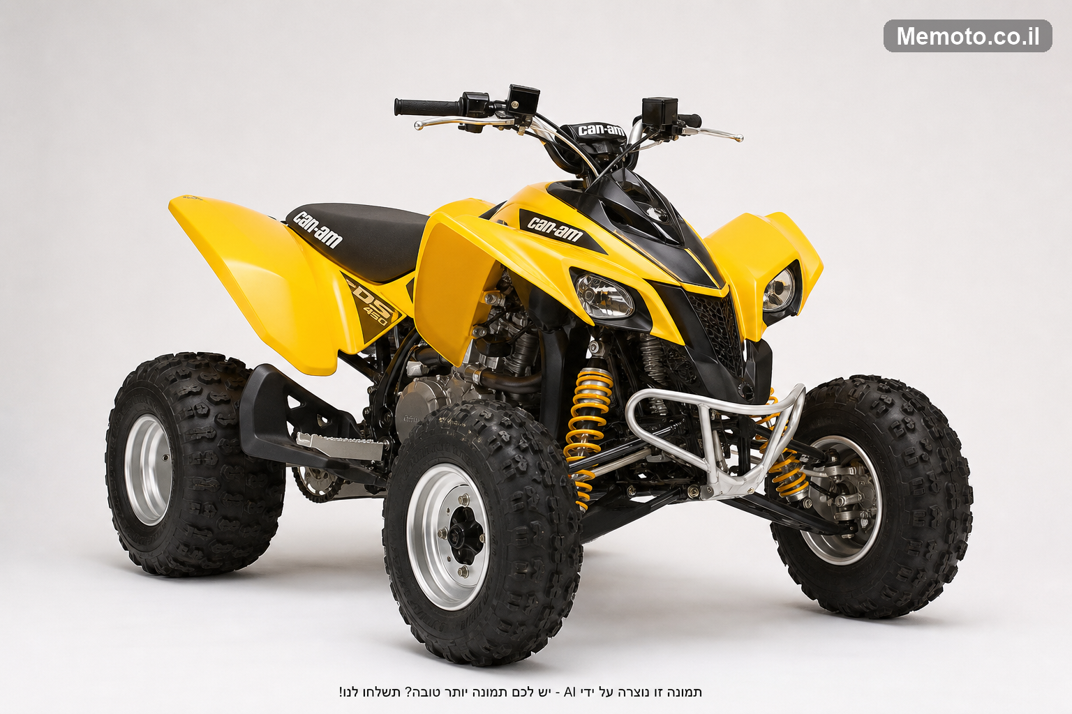 Can-Am DS-450