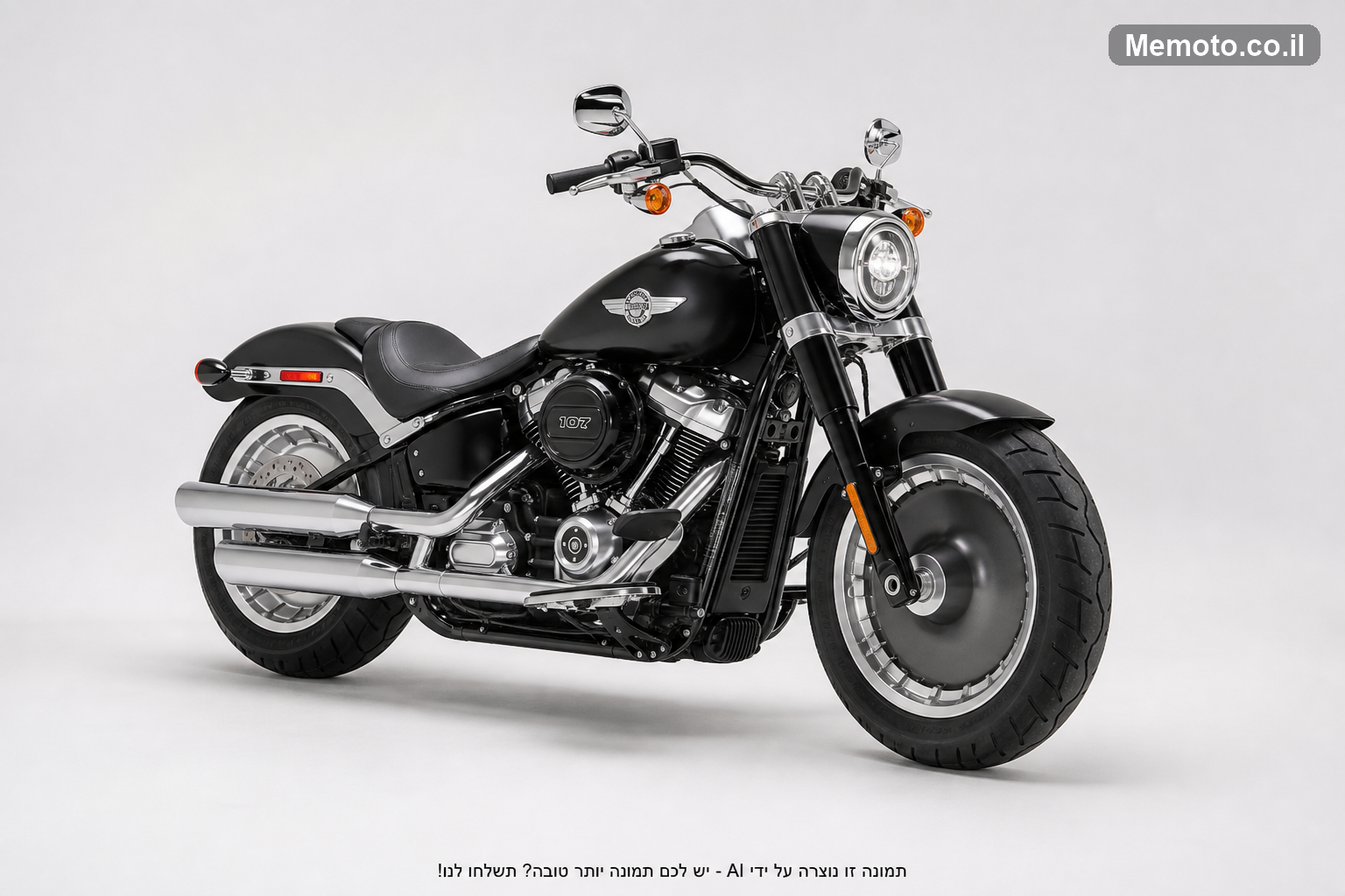 Harley Davidson SOFTAIL 107 STAND
